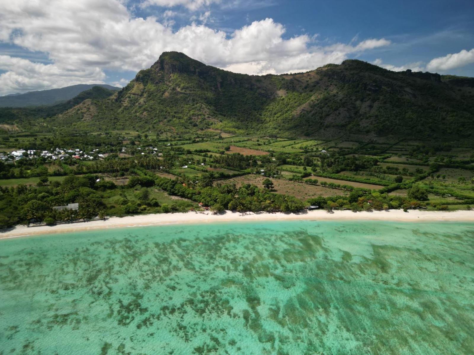 Scar Reef - Beachfront Paradise Lodge